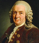 Carl Linne Carl Linne