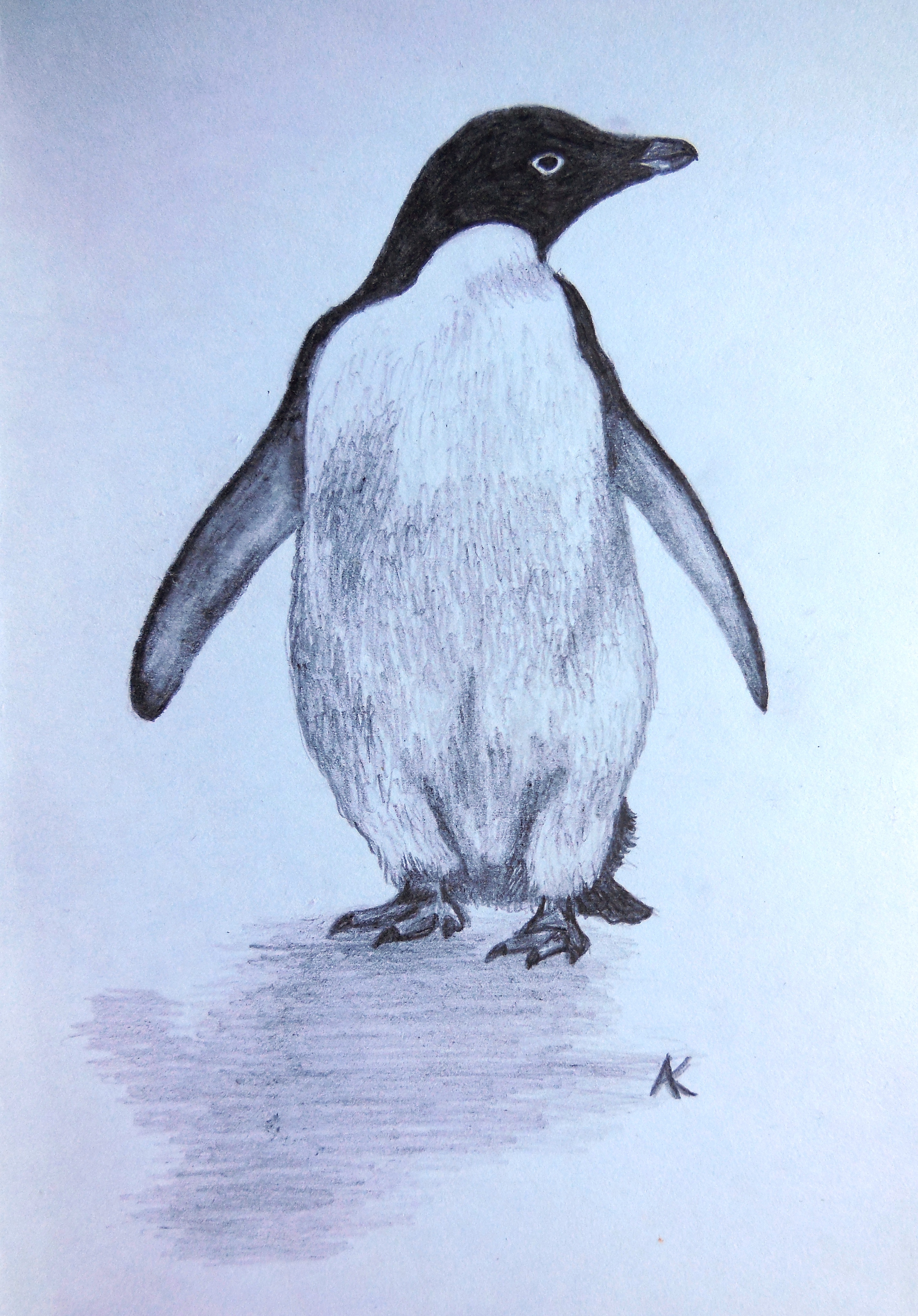 Tučňák kroužkový - tužka