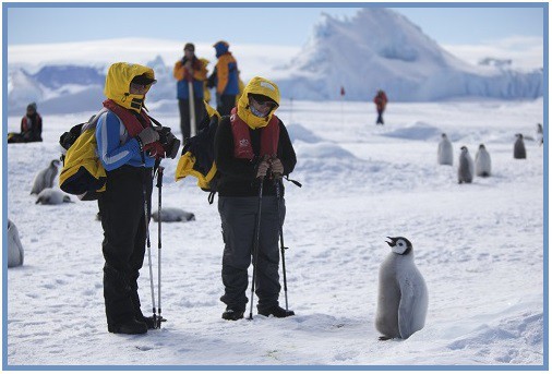 Mládě tučňáka císařského a člověk