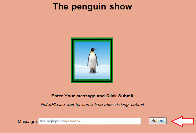 the-penguins-show.png
