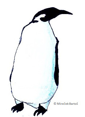 Tučňák od Mirečka