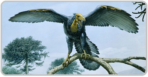 Archaeopteryx (možná podoba)