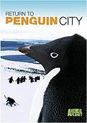 Návrat do města tučňáků