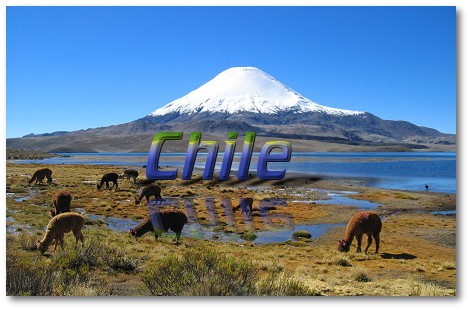 Chile (Wikipedie info)